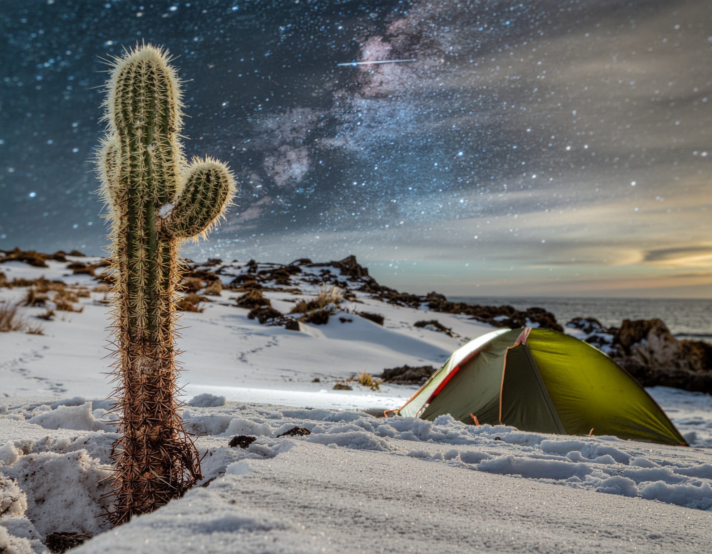 Cheeky Christmas Cards That Sleigh (and Snow More Than Usual)