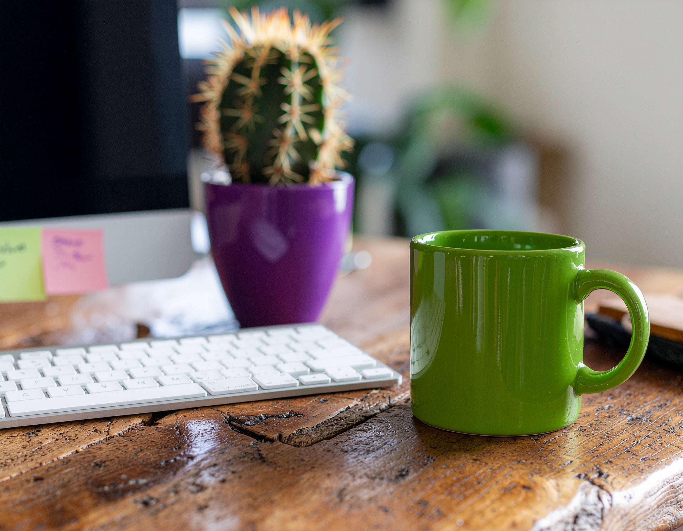 Bright, minimal office desk setting featuring a plain coloured mug in cactus green with subtle edge—clean, playful style reminiscent of Prickly Cards branding