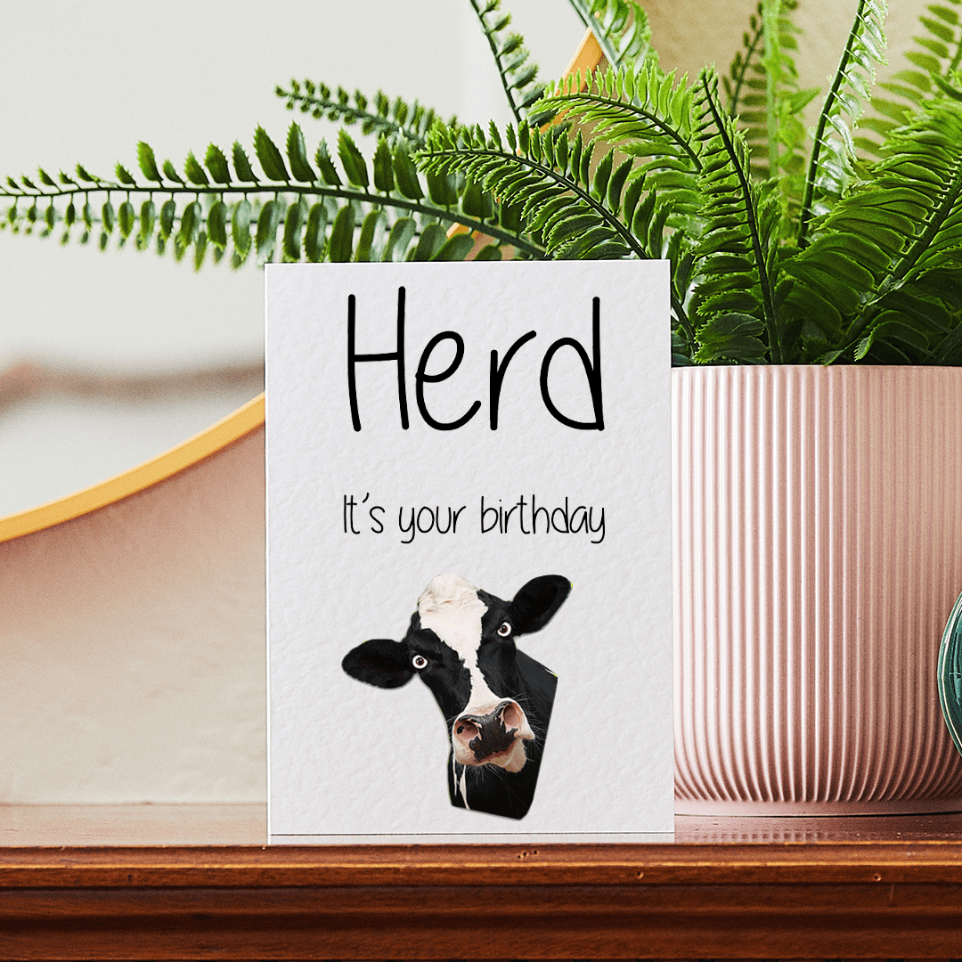 Birthday Cards – Funny, Cheeky & Perfect for Any Celebration - Prickly Cards