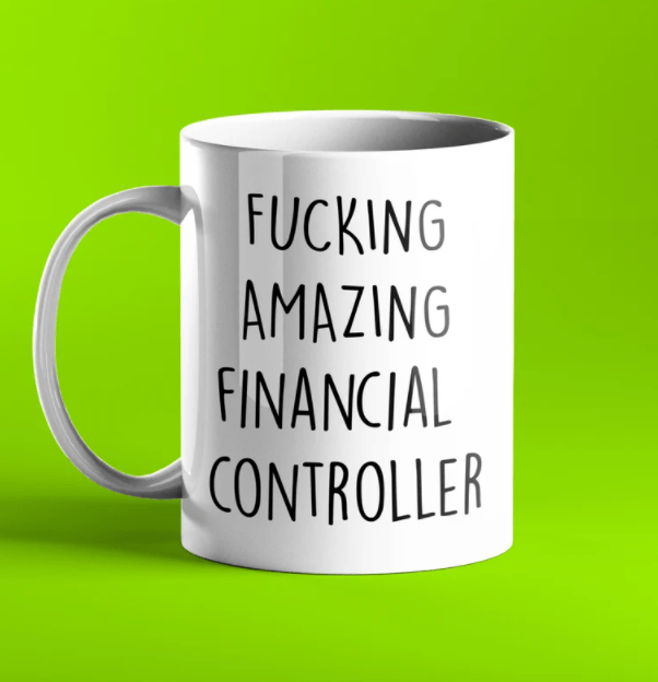 Fucking Amazing Financial Controller Gift Mug