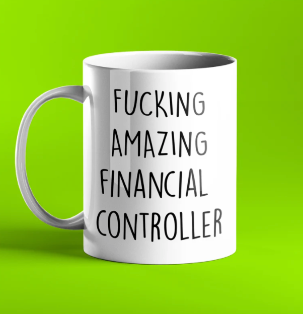 Fucking Amazing Financial Controller Gift Mug