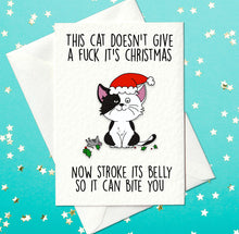 Load image into Gallery viewer, Funny Christmas card for cat fans