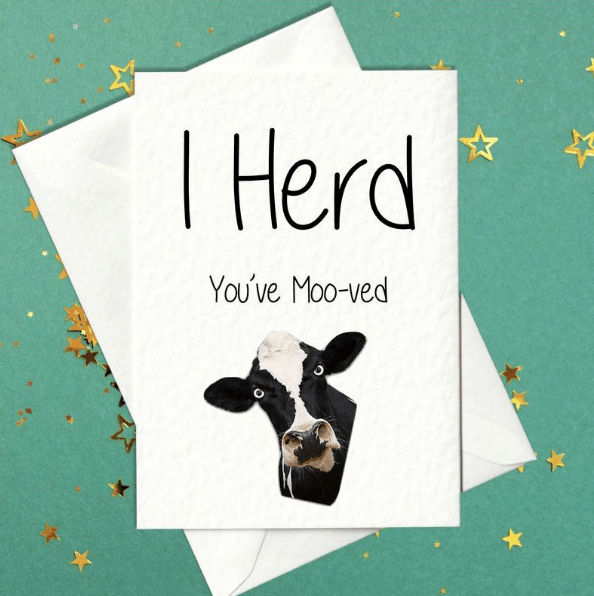 I Herd You've Moo-ved - Funny New Home Card (A6) - Prickly Cards
