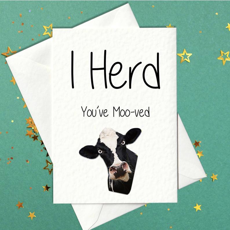 I Herd You've Moo-ved - Funny New Home Card (A6) - Prickly Cards